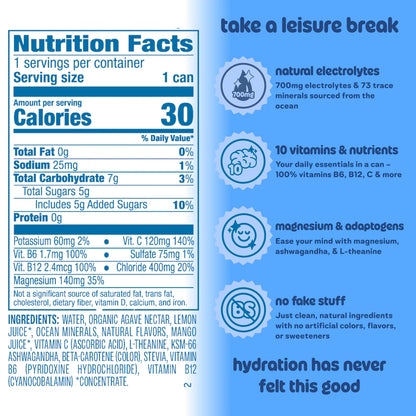 Leisure Hydration - Wild Blueberry